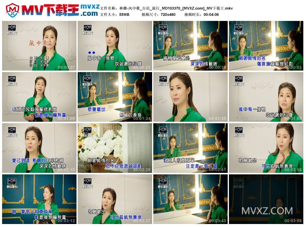 林姗-风中歌_台语_流行_MD103370